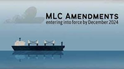 The New MLC Amendments